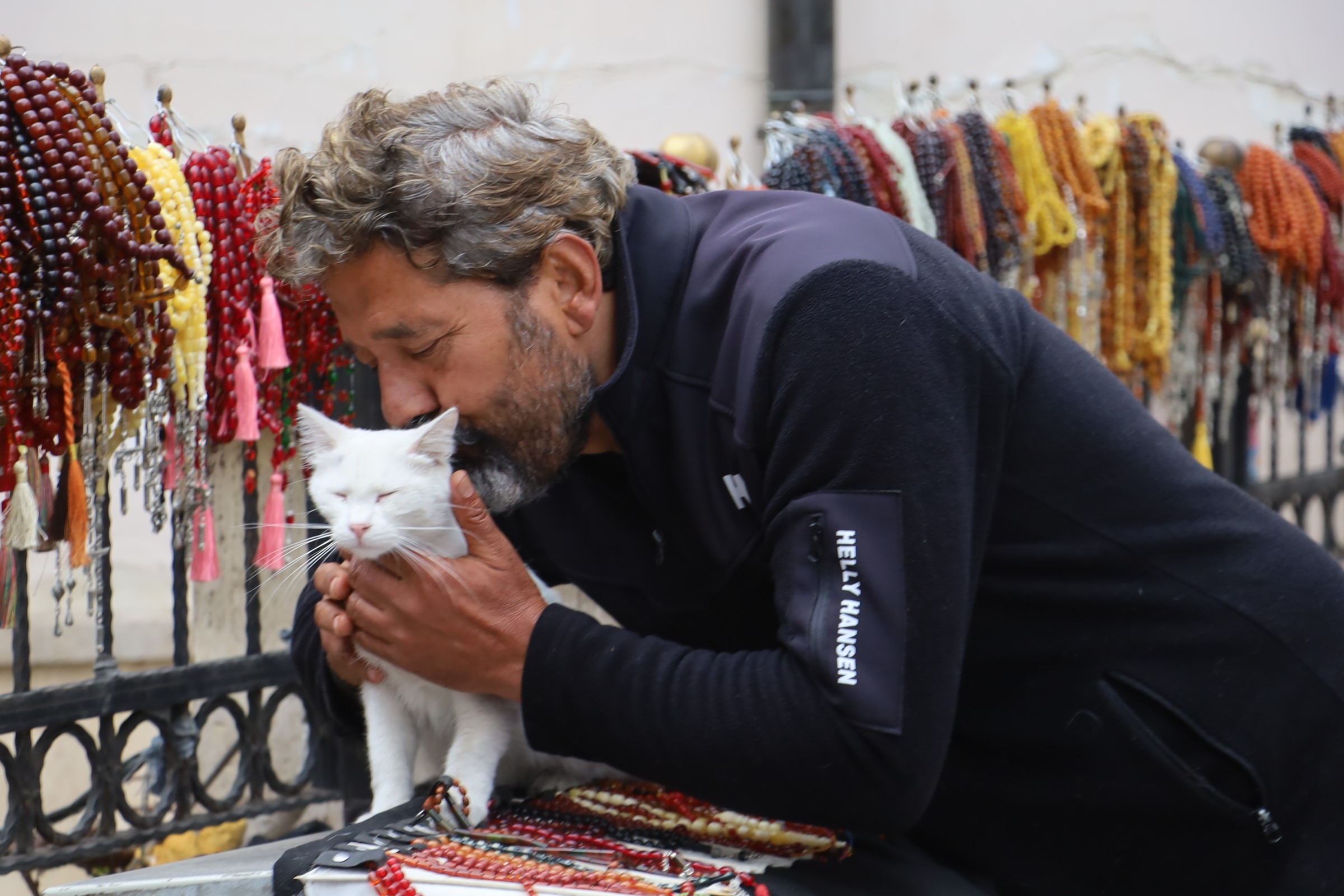 Anne Kedi Yüreğimizi Dağladı! Yavrusunu Hayata Döndürme Çabası Kamerada!