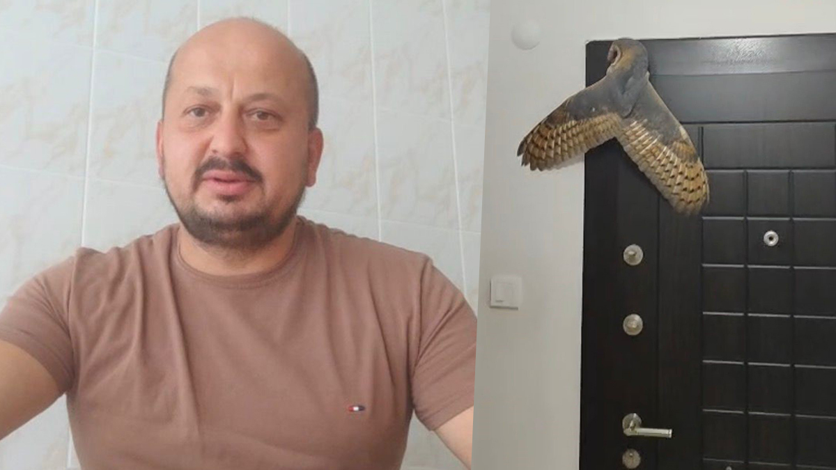 Arıcı Mustafa Kara'nın Gece Mesaisi: Hırsız Sandığı Şey Aslında Neydi?