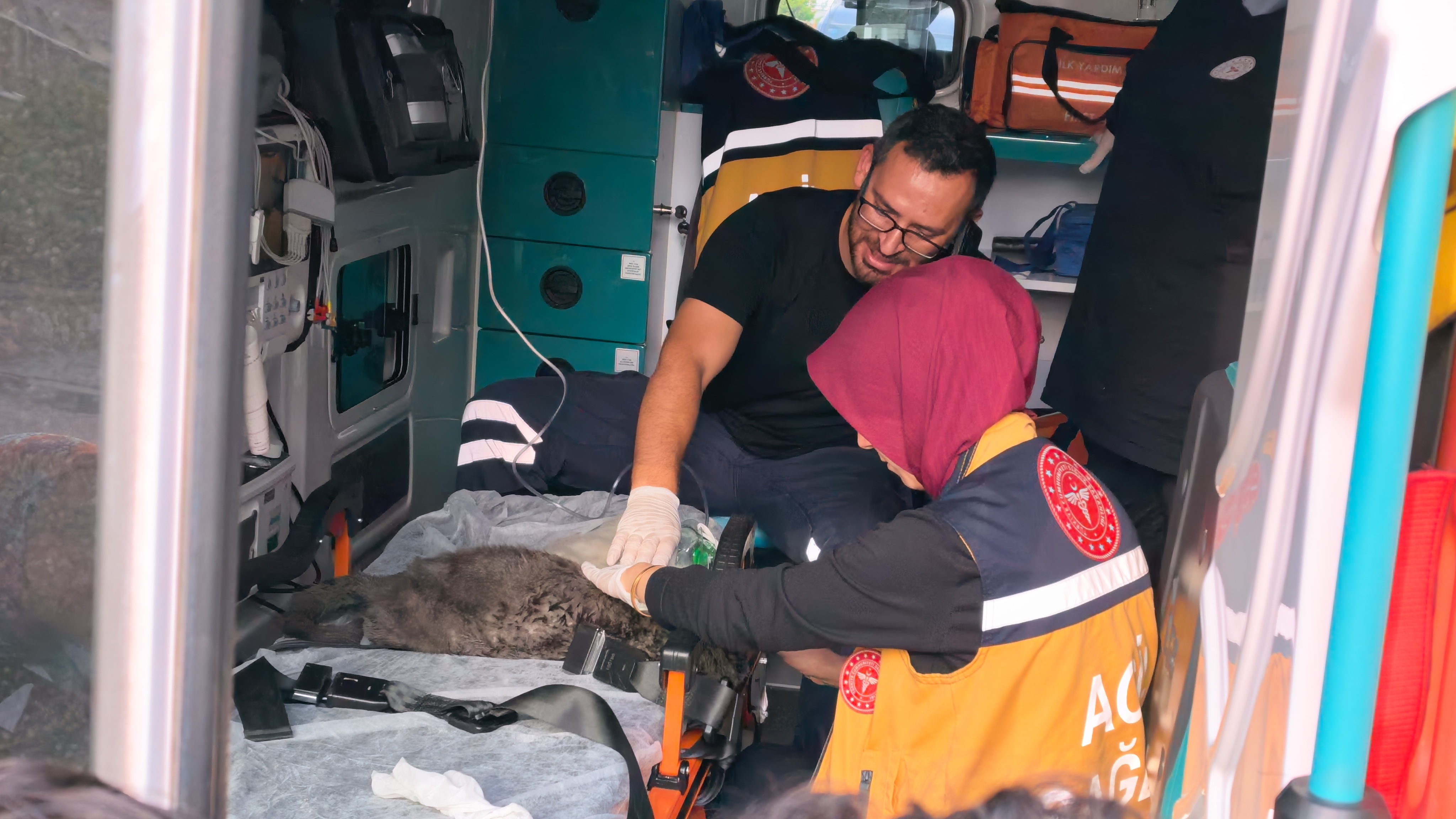 Bursa'da İtfaiye Ekiplerinden Kedilere Kalp Masajıyla Hayat Öpücüğü