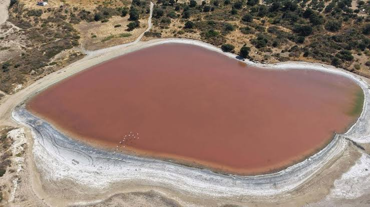 Çanakkale'nin Kalpli Gölü Yeniden Pembe Renge Büründü
