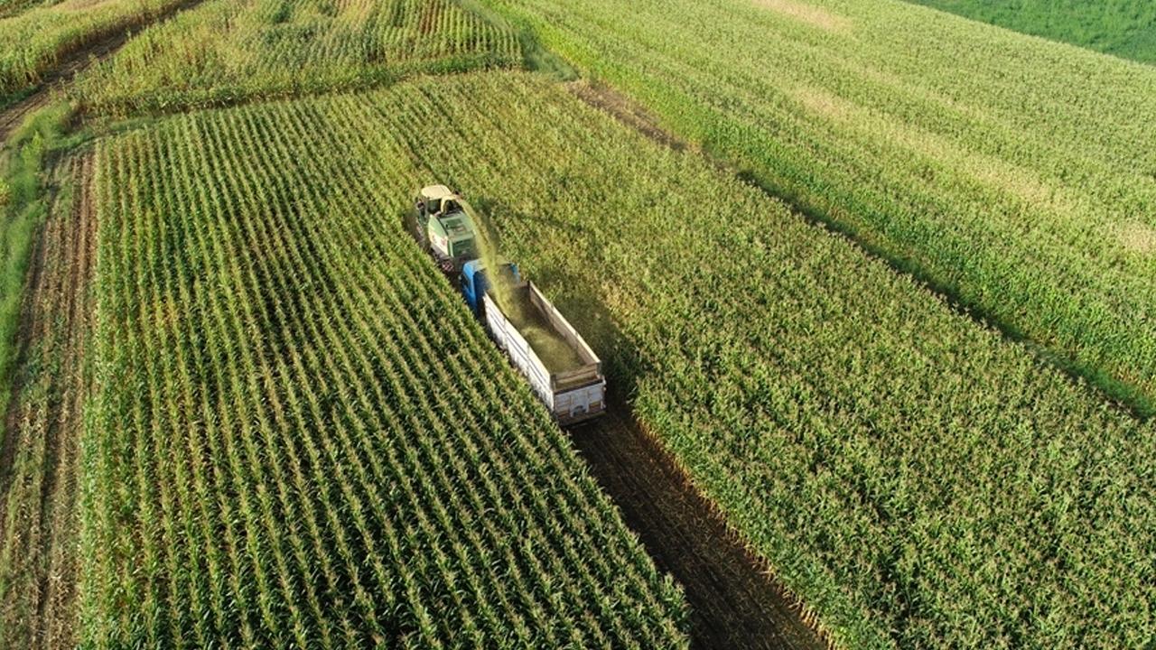 Çiftçinin Kara Günü! Tarımsal Girdi Fiyatları Rekor Kırıyor, Sofralarımız Nasıl Etkilenecek?