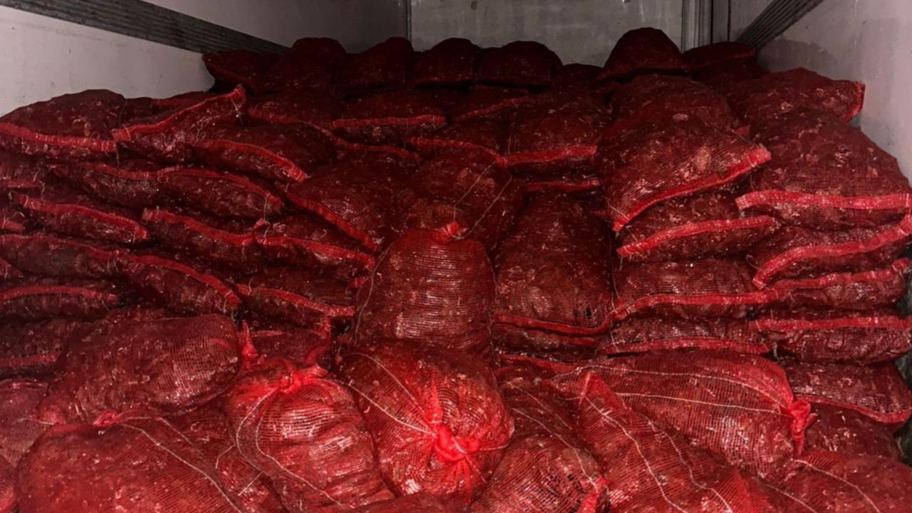 Denizlerde Vahşet! 10 Ton Kaçak Midye Ele Geçirildi: Sofralarımıza Neler Geliyor?