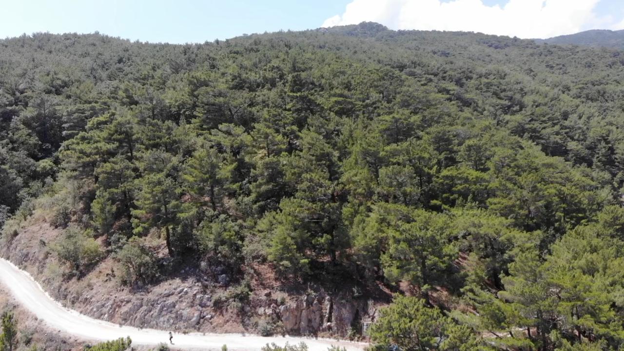 Erzurum'da Orman Yangınlarına Karşı Kapsamlı Yasak