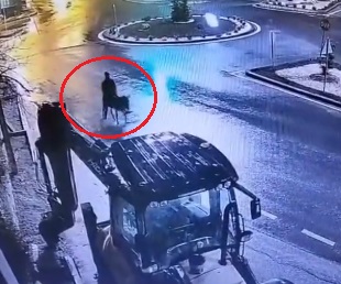 Eşekli Altın Hırsızı Yakalandı! Kayseri'de Akılalmaz Soygunun Cezası Belli Oldu!