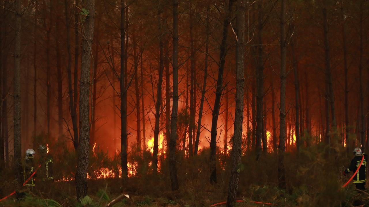 Fransa'nın Landes Bölgesinde Orman Yangını: 1100 Hektarlık Alan Hasar Gördü