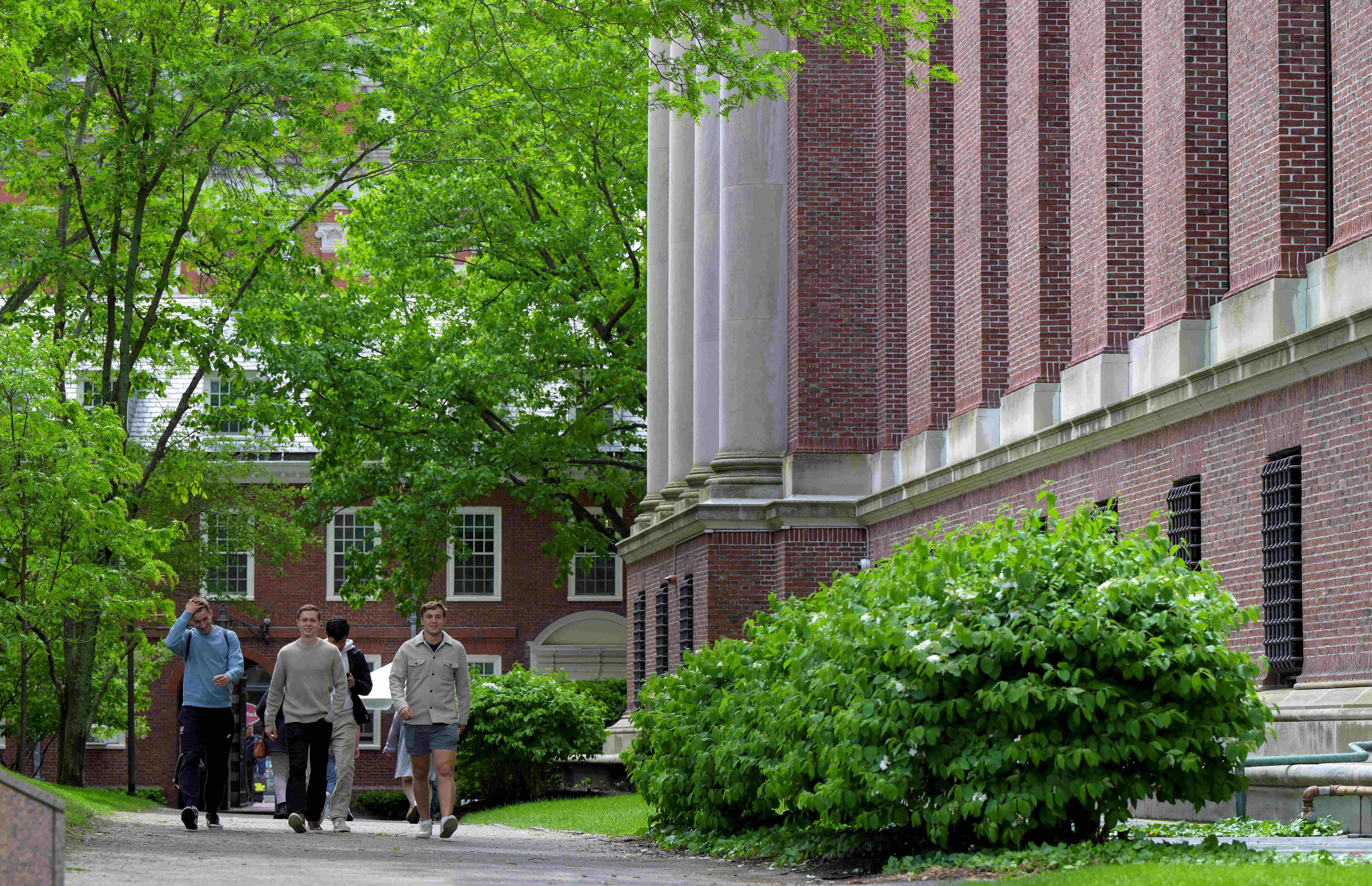 Harvard Alarm Veriyor! A Notları Artınca Üniversite Sınır Getirdi! Öğrenciler Şokta!