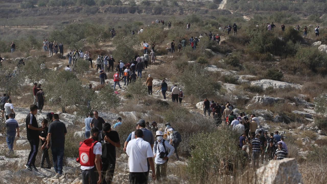 İsrail'den Skandal İtiraf: Filistin'de 3 Bin Ağacı Katlettik! Dünya Neden Sessiz?