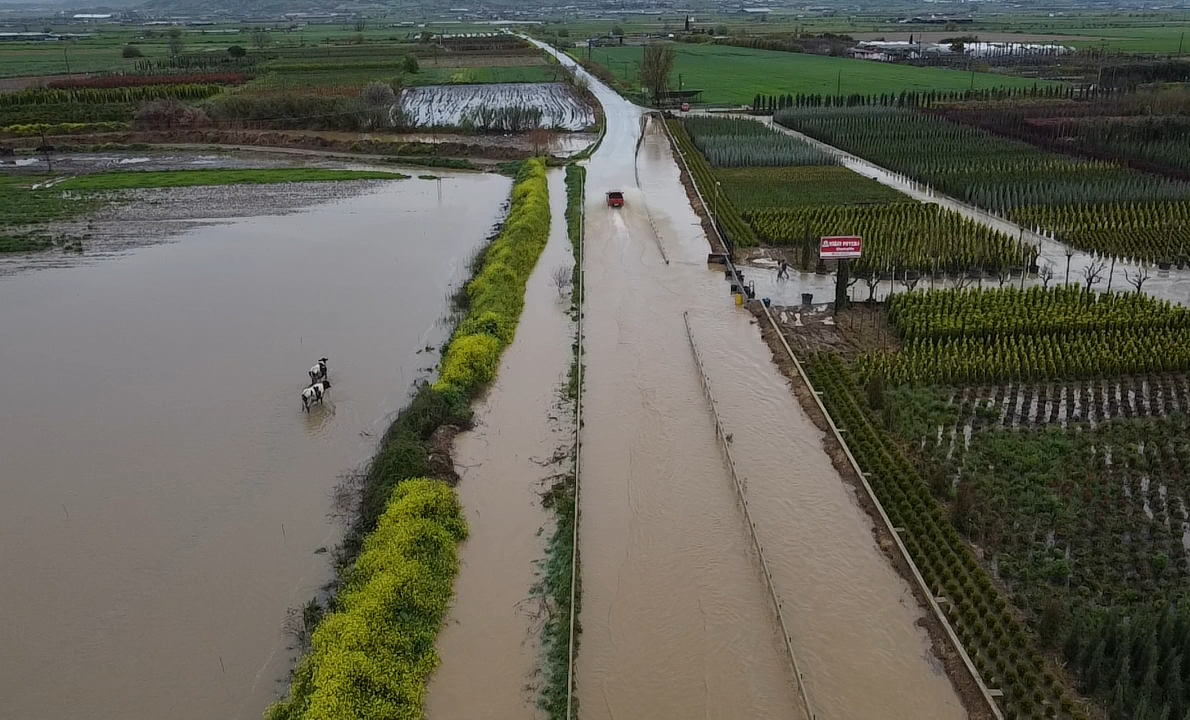 İzmir'de Felaket! Sağanak Yağışı Hayatı Felç Etti: Tarlalar Sular Altında, Yollar Kapandı!