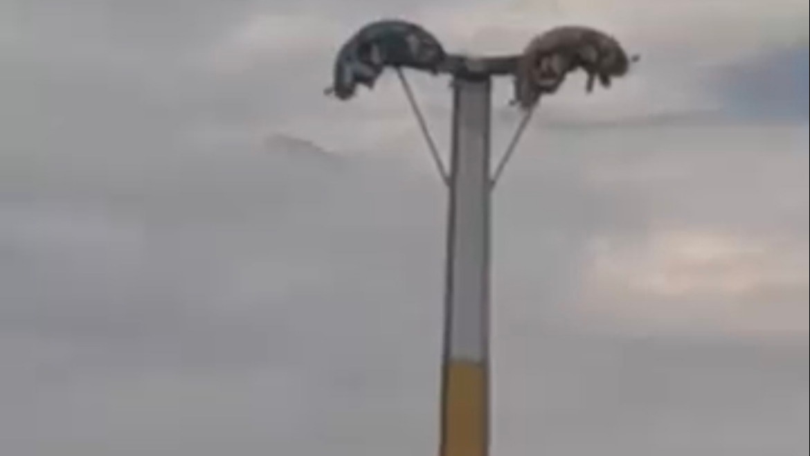 İzmir'de Lunapark Dehşeti! Oyuncaklar Arızalandı, Bayram Tatili Kabusa Döndü!