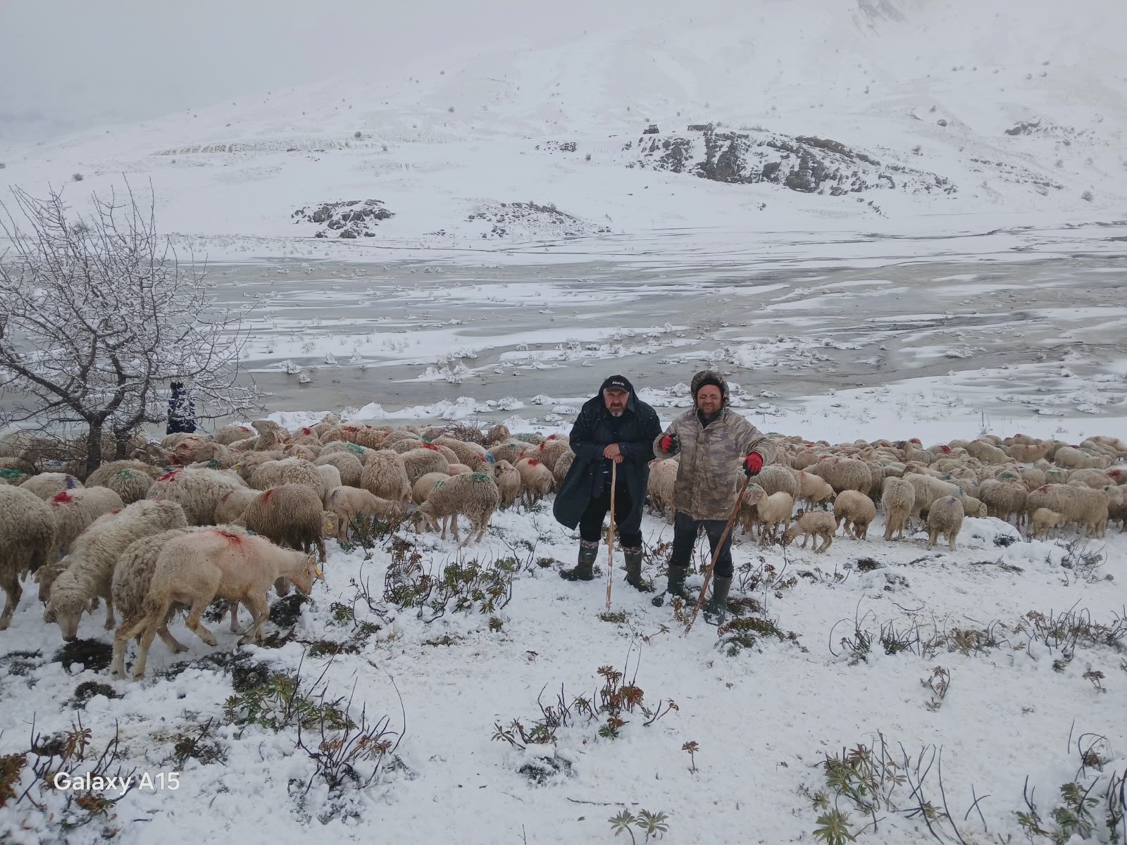 Kar Esareti! Isparta'da 2 Çoban ve 650 Hayvan Mahsur Kaldı! İşte Son Durum...