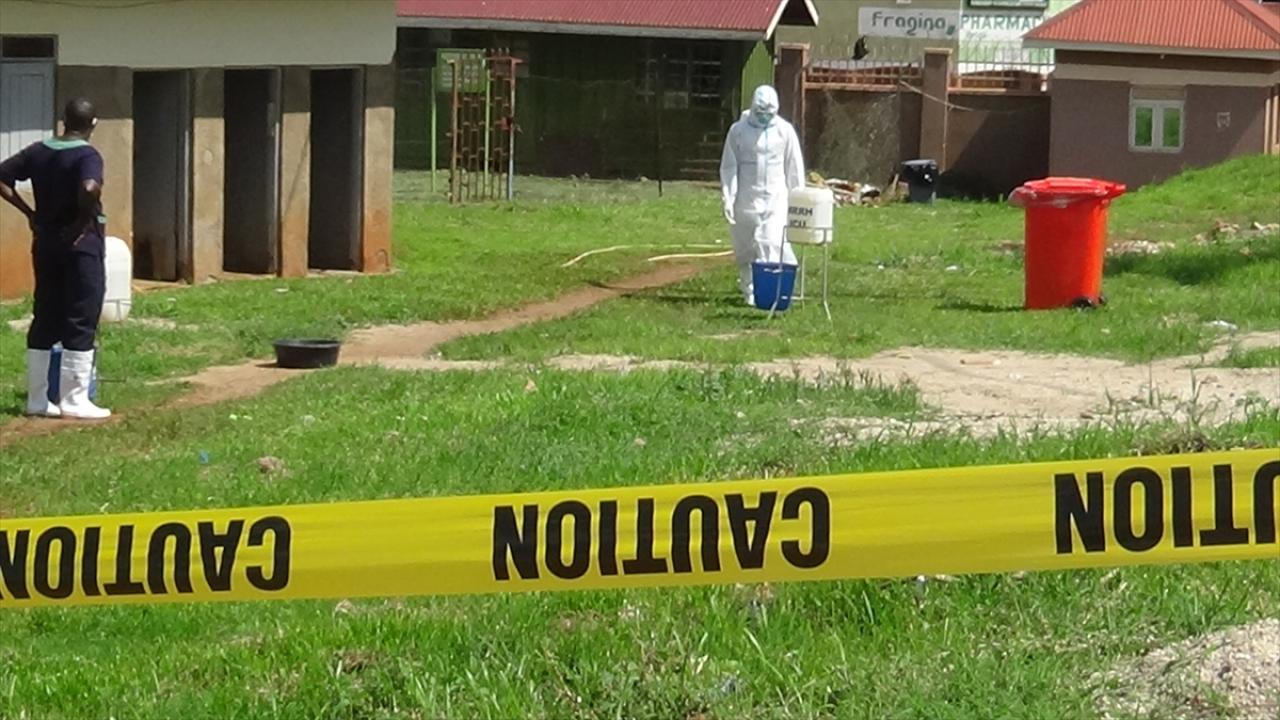 Kara Veba Geri mi Dönüyor? DSÖ'den Ebola Alarmı: Dünya Tehdit Altında!