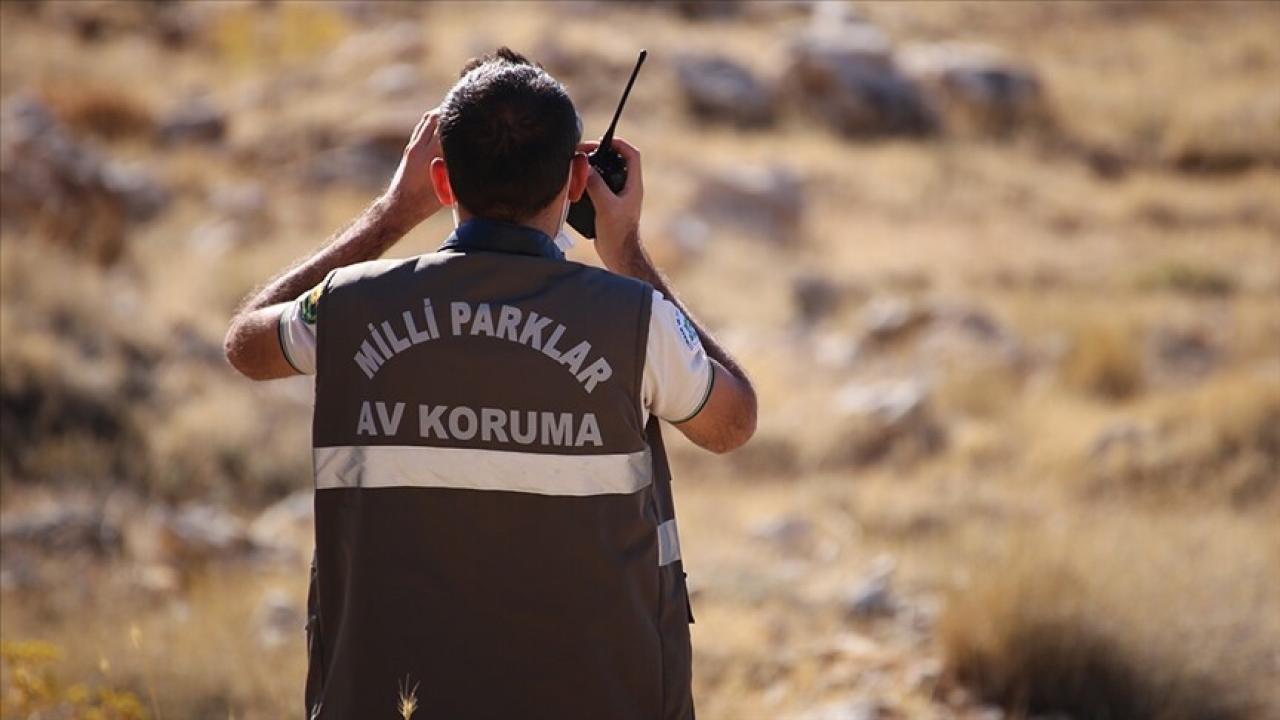 Milli Parklarda Uzman Olmak Artık Daha Zor! İşte Yeni Şartlar