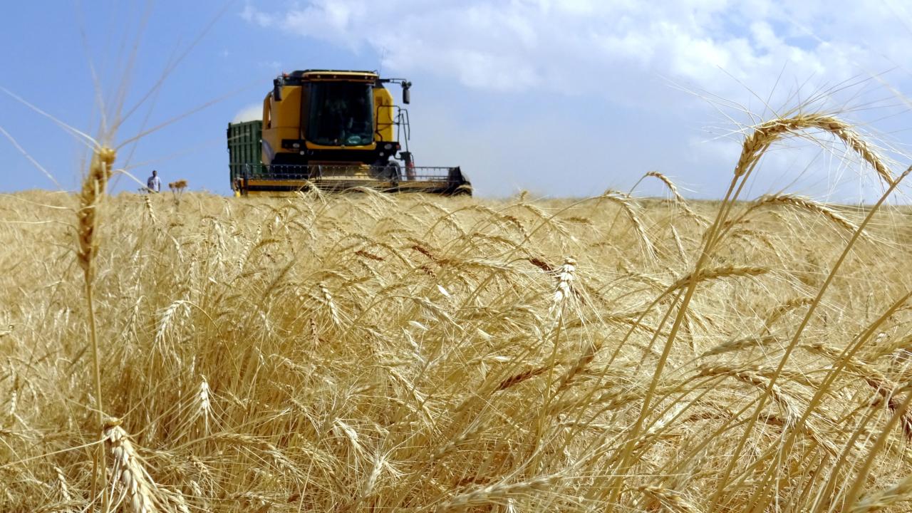 Müjde! Çiftçinin Yüzü Gülecek: 5,5 Milyar TL Destek Hesaplara Yatıyor!