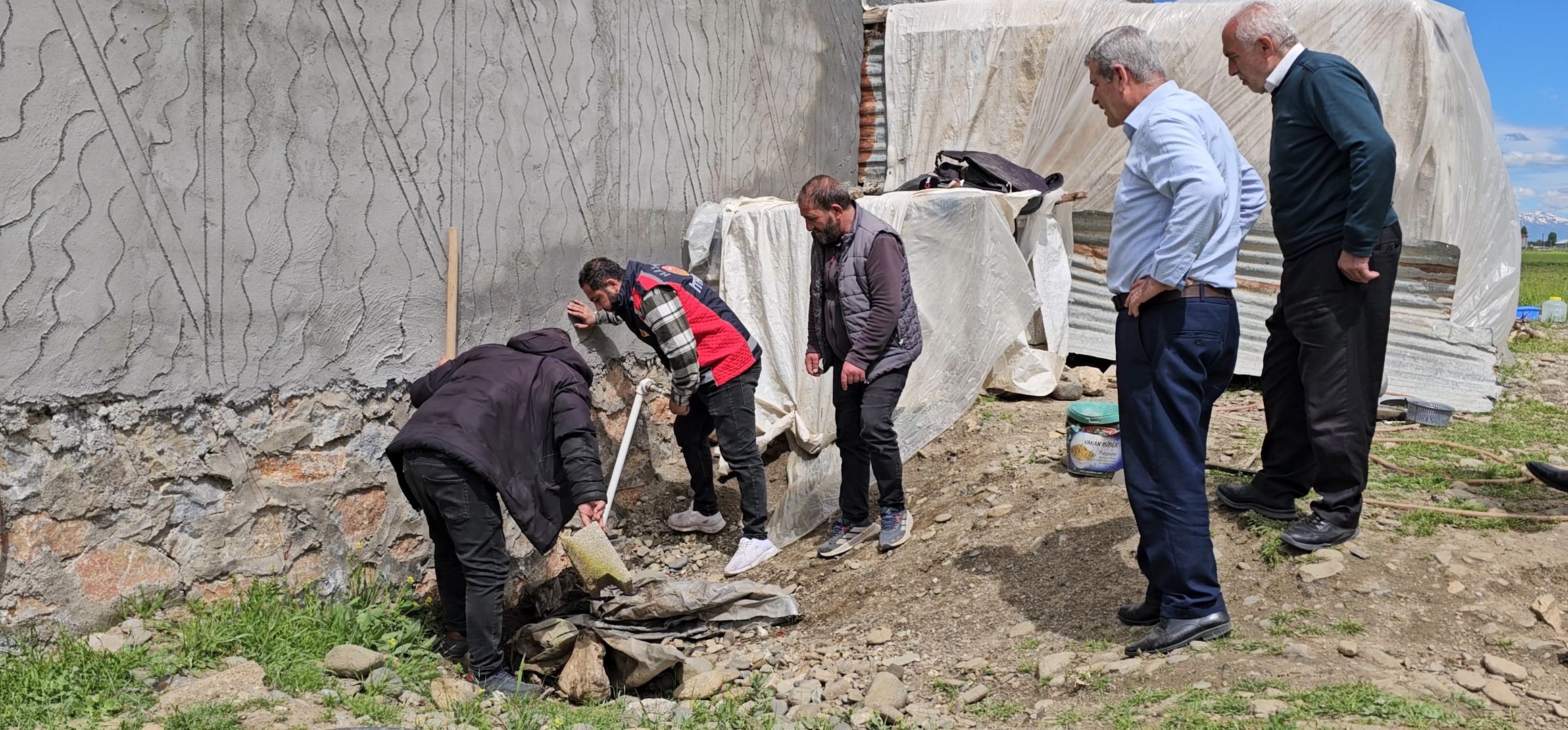 Muş'ta Dehşet Anları! 3 Metrelik Dev Yılan Bir Eve Girmek Üzereyken Yakalandı!