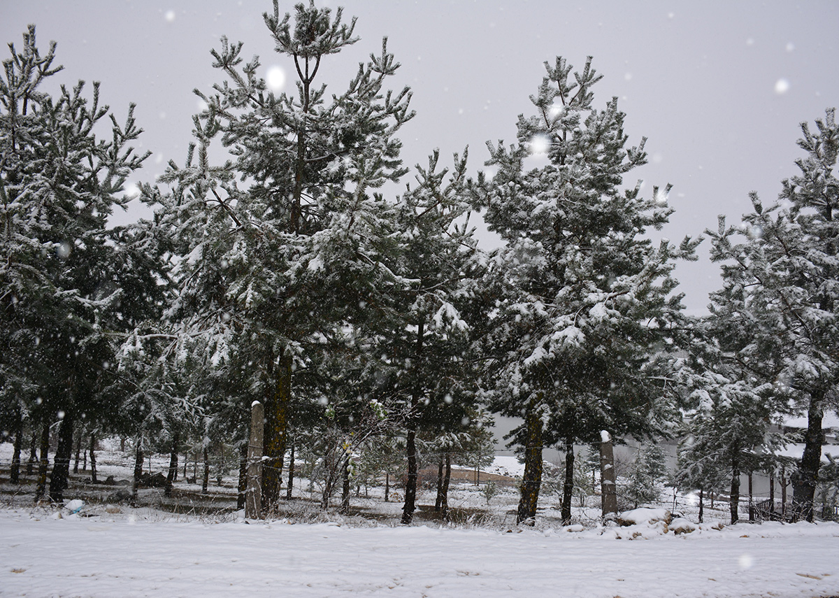 Nisan'da Kar Sürprizi! Türkiye Beyaza Büründü, Hava Durumu Şoke Etti!