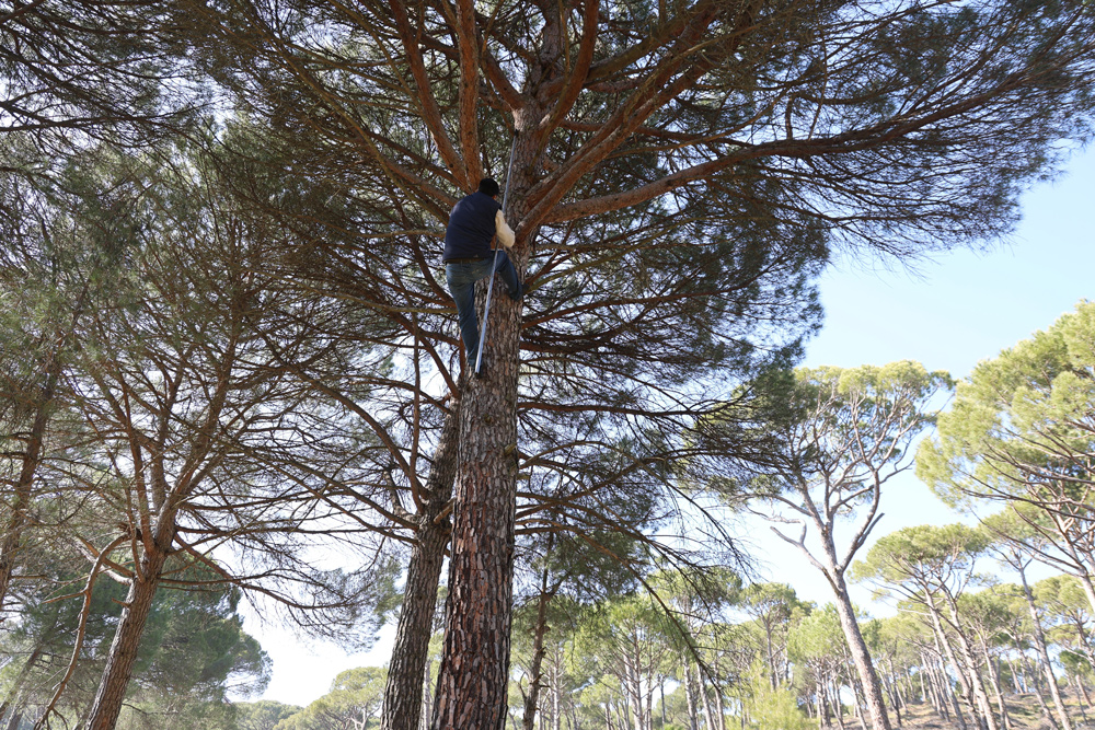 Ölümle Dans! Aydın'da 'Künar Komandoları' Hayata Meydan Okuyor!