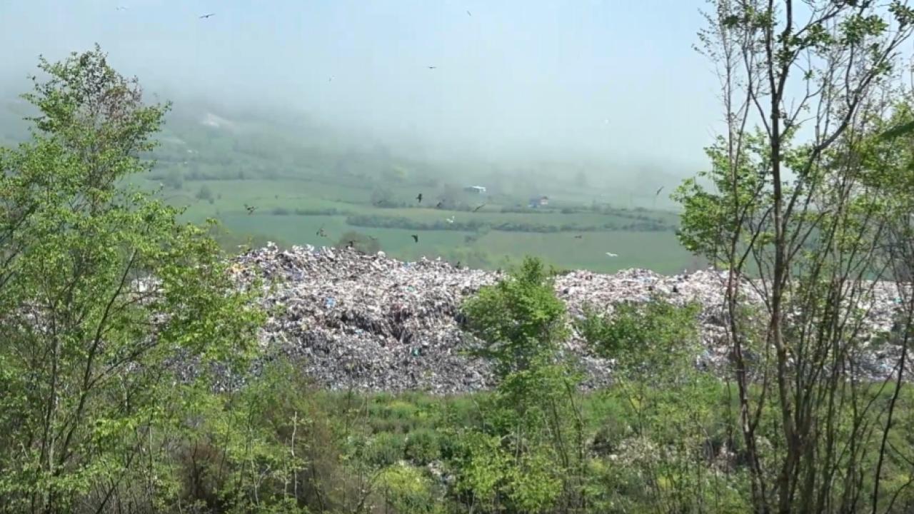 Skandal! Sinop'ta Çevre Katliamı! O Tesise Rekor Ceza Yağdı!