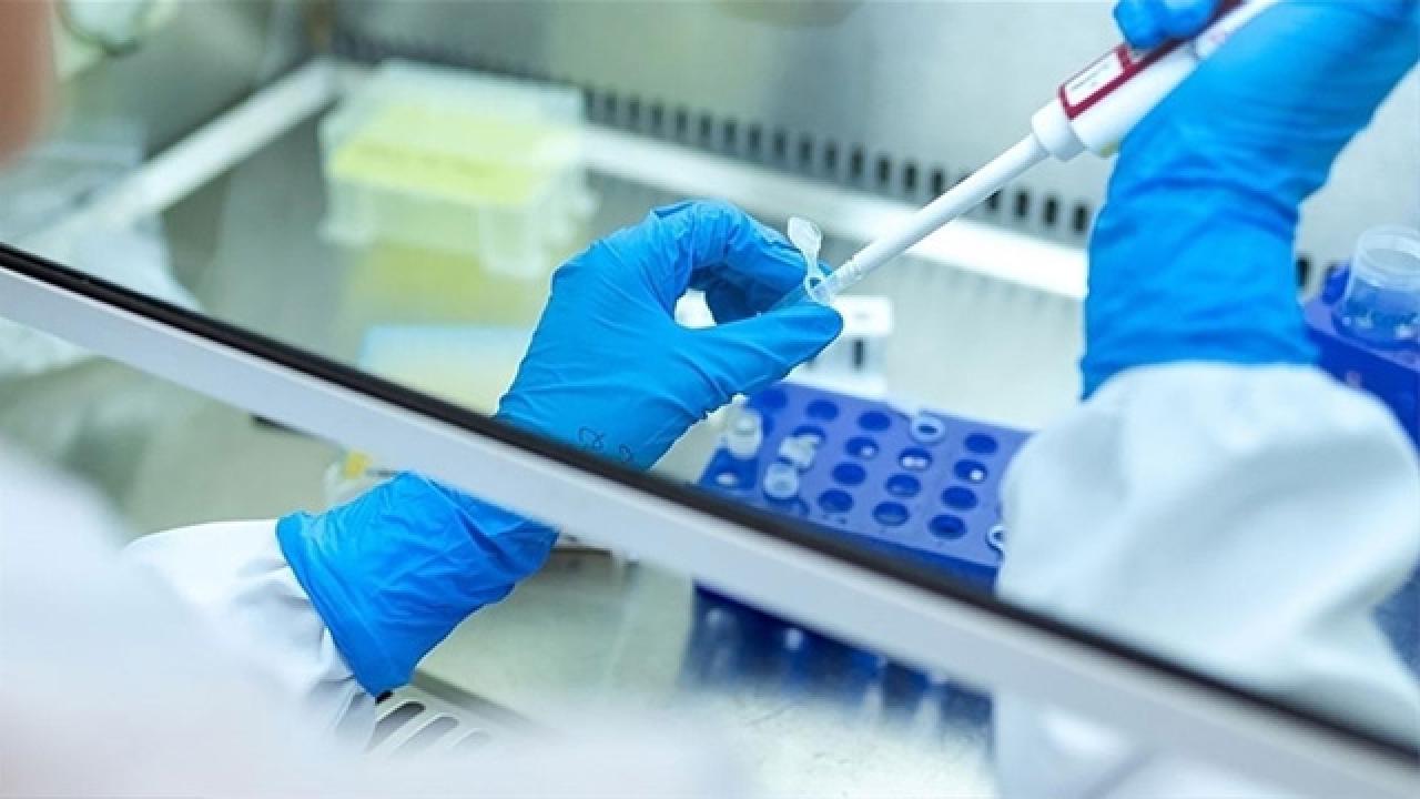 Türk Araştırmacıların Yapay Zeka Başarısı: Dış Gebelik Teşhisinde Büyük Adım