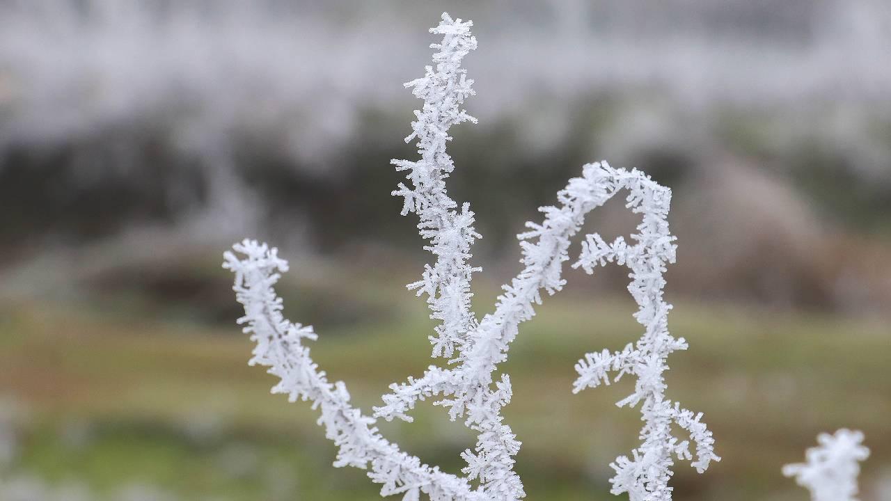 Türkiye Alarmda! 44 İl İçin Sarı Uyarı: Çiftçiler ve Sürücüler Dikkat!
