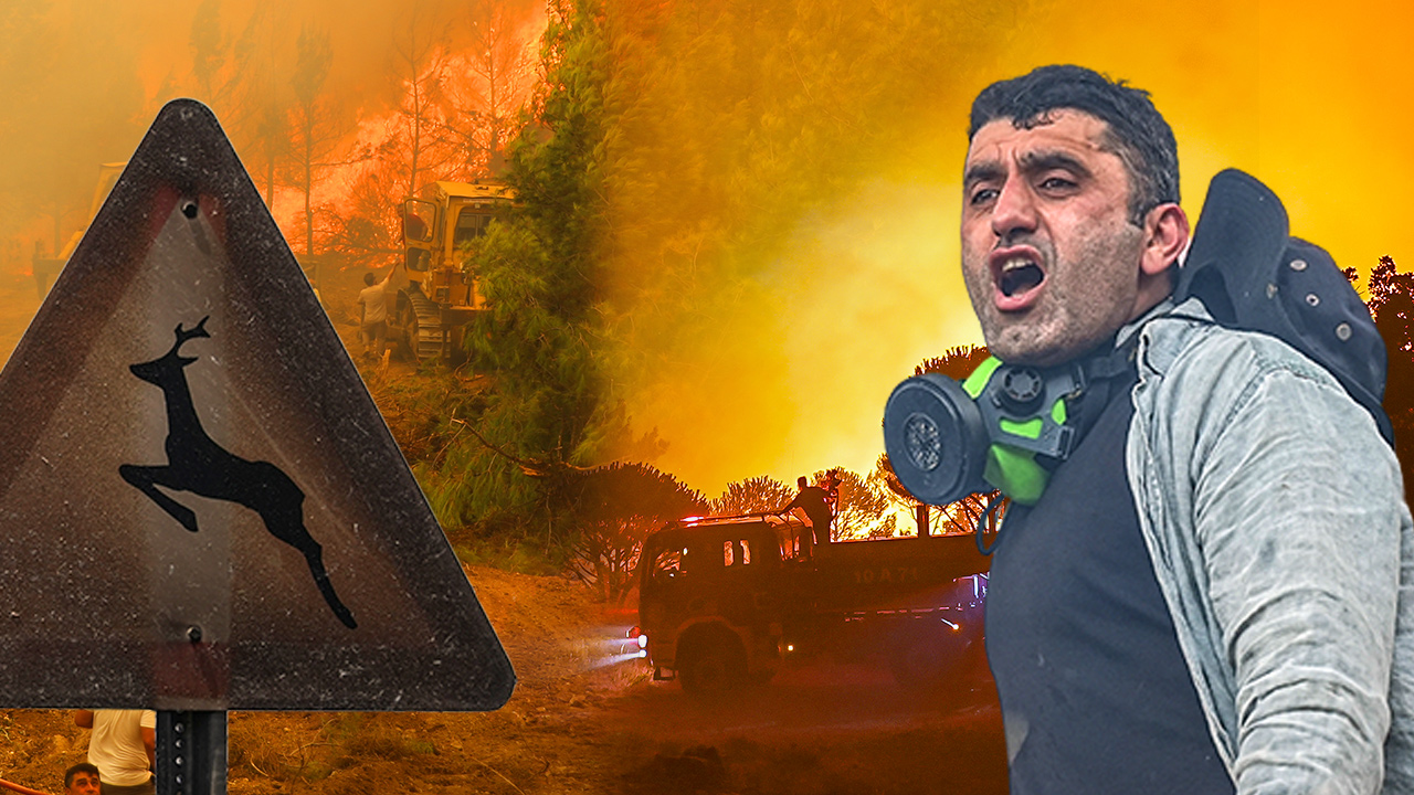 Türkiye'de Orman Yangınlarıyla Mücadele: 9 İlde Kritik Alarm