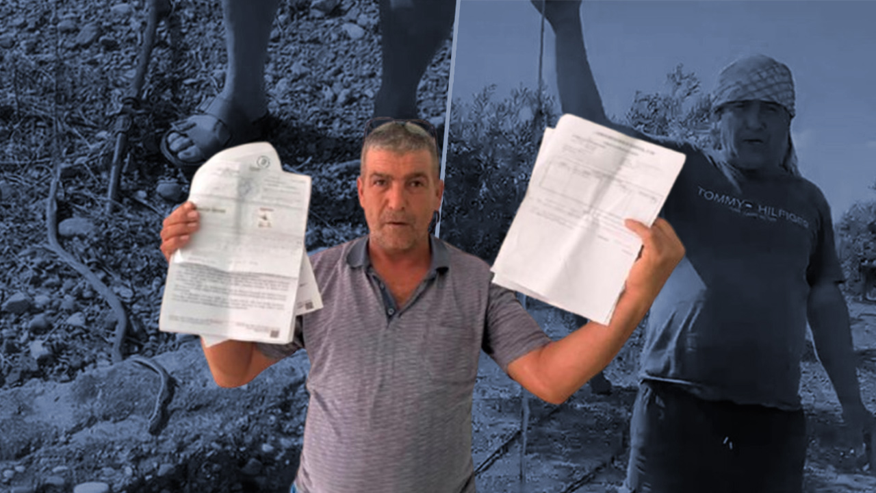Yılanı Öldürdüğünü İddia Eden Şahsa 22 Bin Lira Ceza